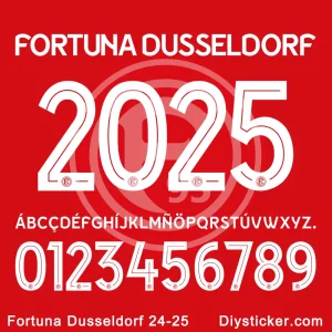 ttf Fortuna Dusseldorf 2024-25 Font